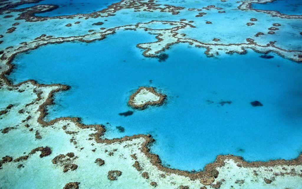 Heart reef in Australia's Great Barrier Reef