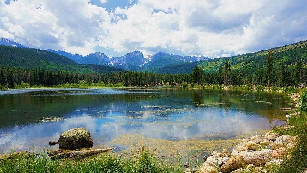 Image with green trees near the lake under white clouds and blue sky during the day in Rocky Mountain National Park.