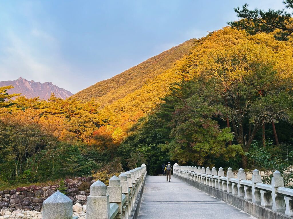 A person walking across a bridge over a river in the Seoraksan National Park.