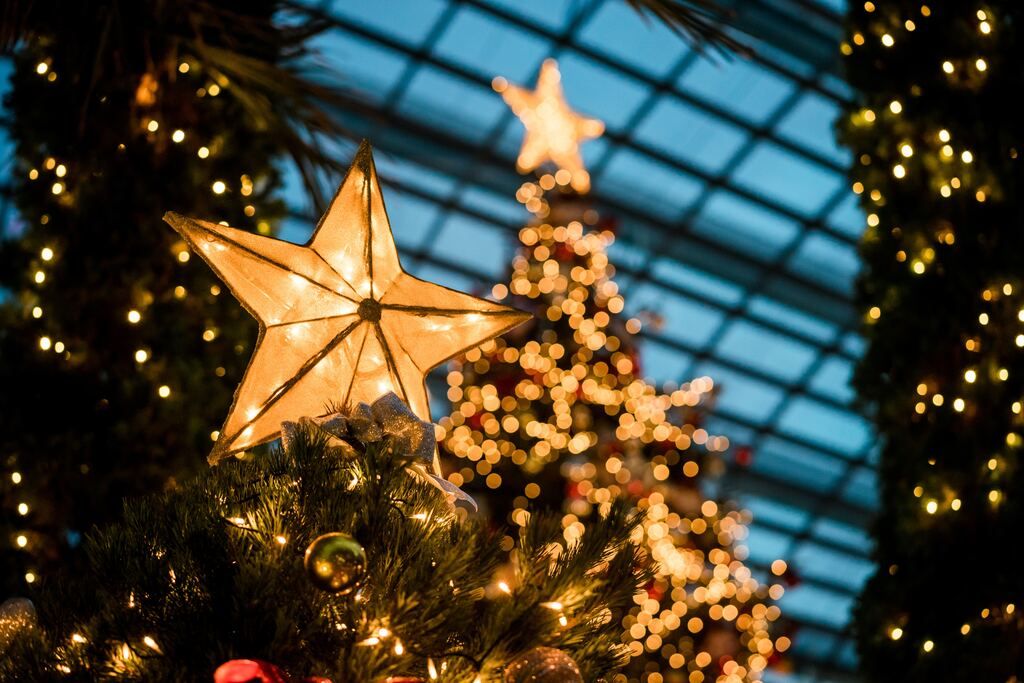 Star-shaped decoration on a Christmas tree.