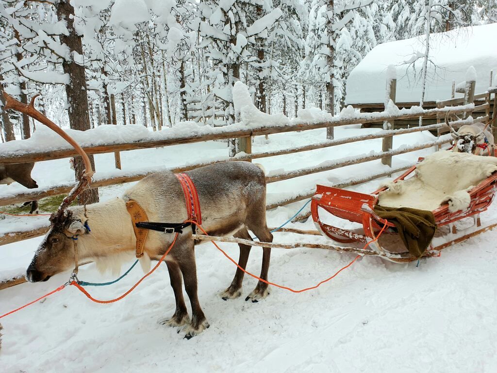 The best things to do in Lapland and what to see