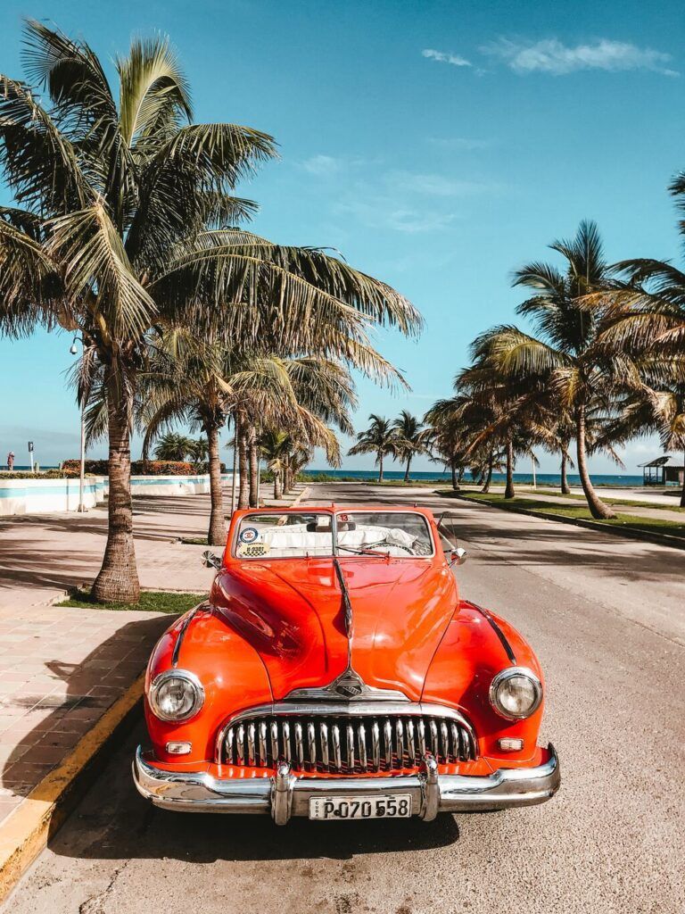 Orange vintage car with palm tree background on a street in Cuba.
