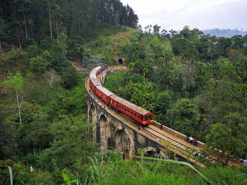 A train travelling on a bridge in the middle of a forest in Sri Lanka