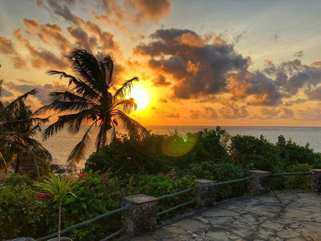 The sun is setting over the ocean with palm trees.