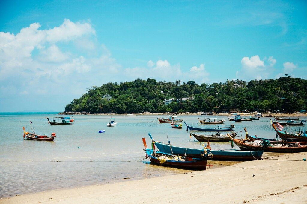 boats ashore during the day