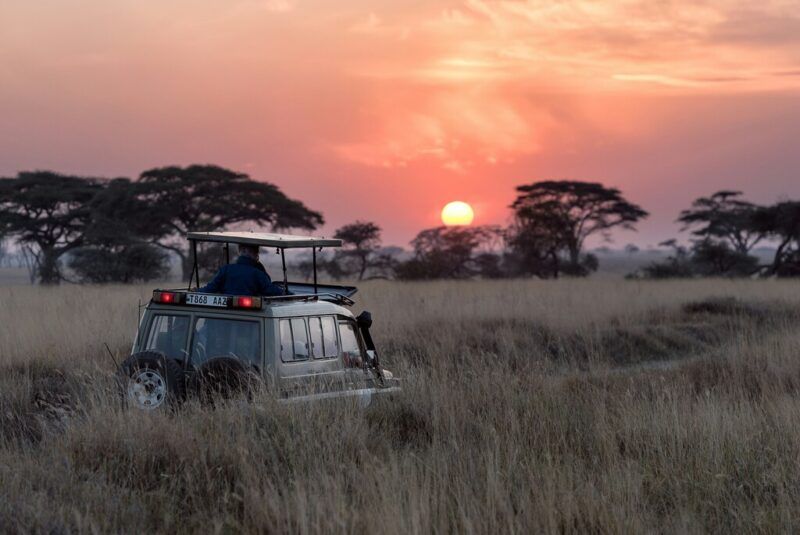 Top tips for your African safari