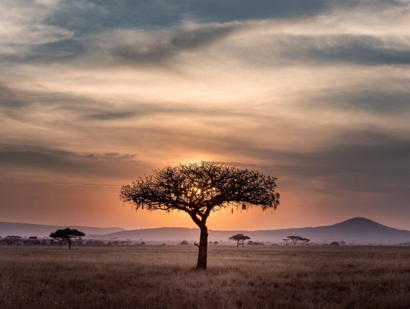 The best things to do in Tanzania
