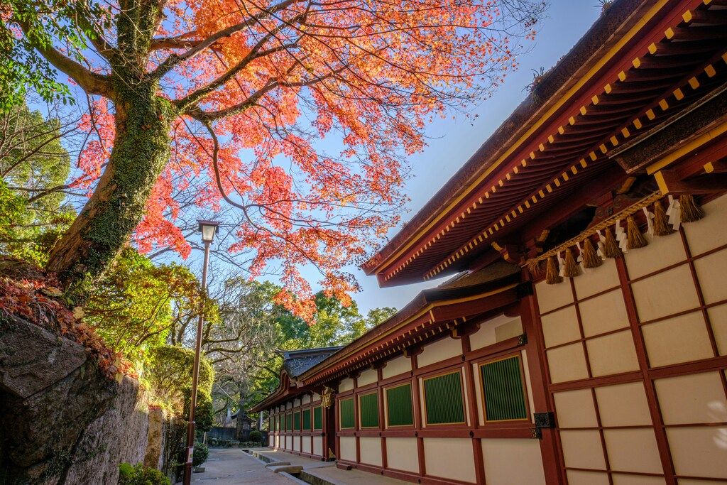 A serene scene of a traditional Japanese temple surrounded by trees with vibrant autumn foliage