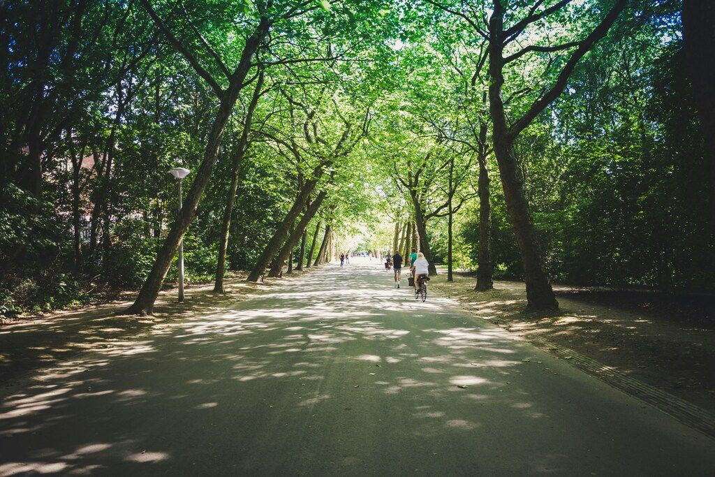 Pathway in Vondelpark shaded by trees, with people walking and cycling
