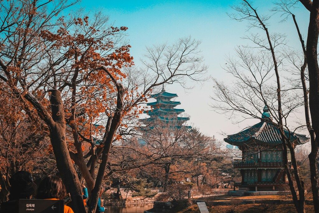 A pagoda peeks through autumn trees at Gyeongbokgung Palace in Seoul, South Korea.