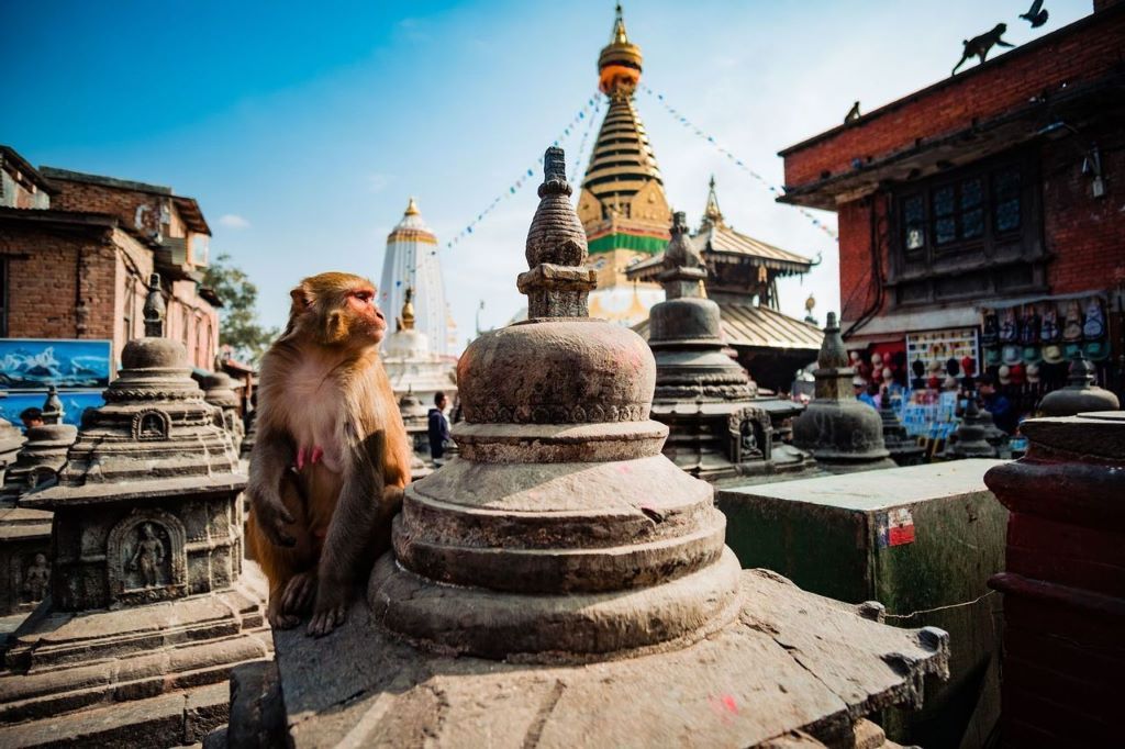 Trekking in Nepal