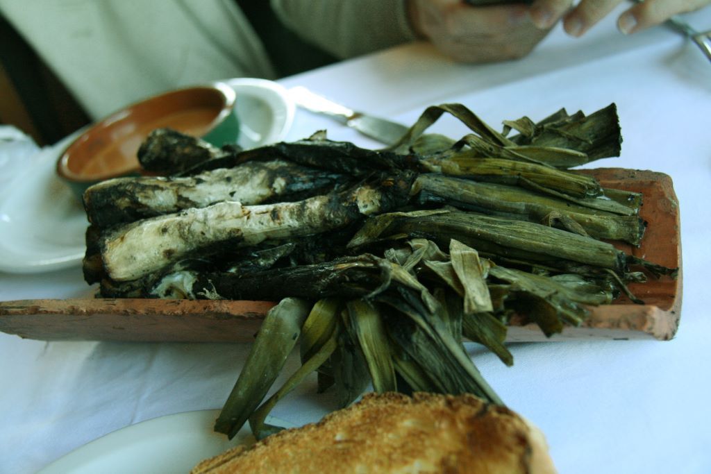 Calçots