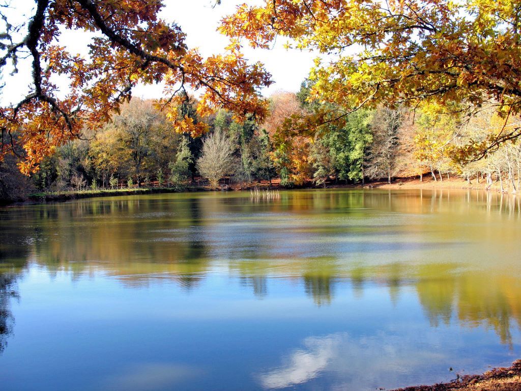 the calm waters of a tranquil lake in Foresta Umbra National Park