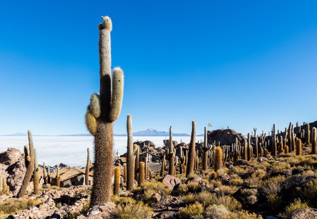 Incahuasi Island Bolivia