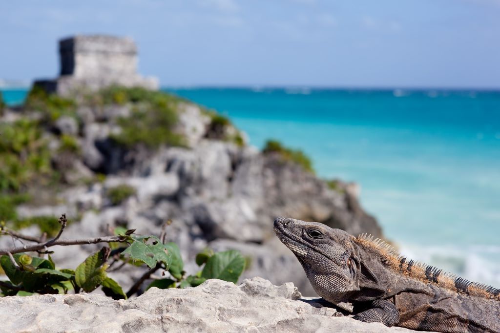 Tulum Beach Mexico