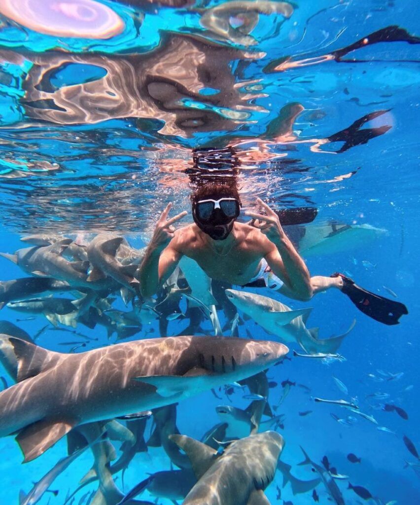 diving maldives