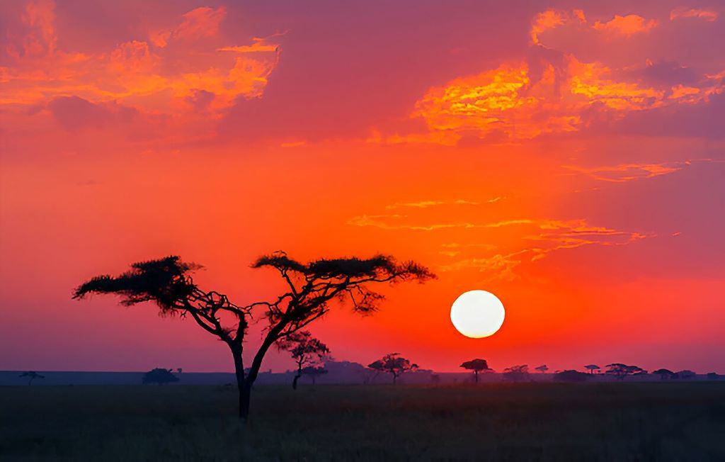 The best time to visit Tanzania: a month-by-month guide