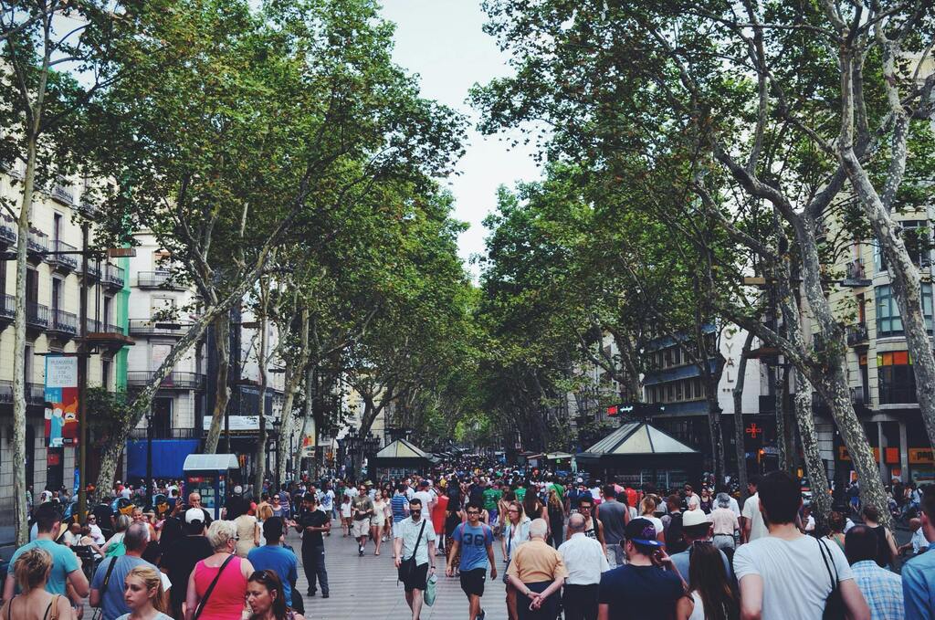 La Rambla, Barcelona's bustling street filled with people and lined with trees and shops.