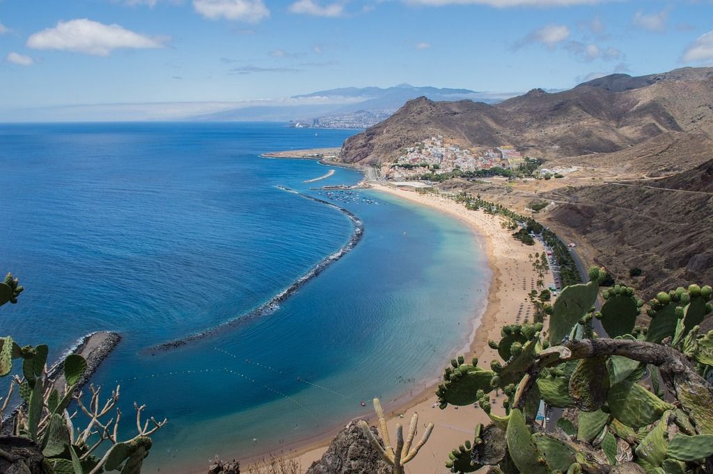 A panoramic view of Las Teresitas Beach in Tenerife, with golden sand, clear blue waters, and cactus plants in the foreground.