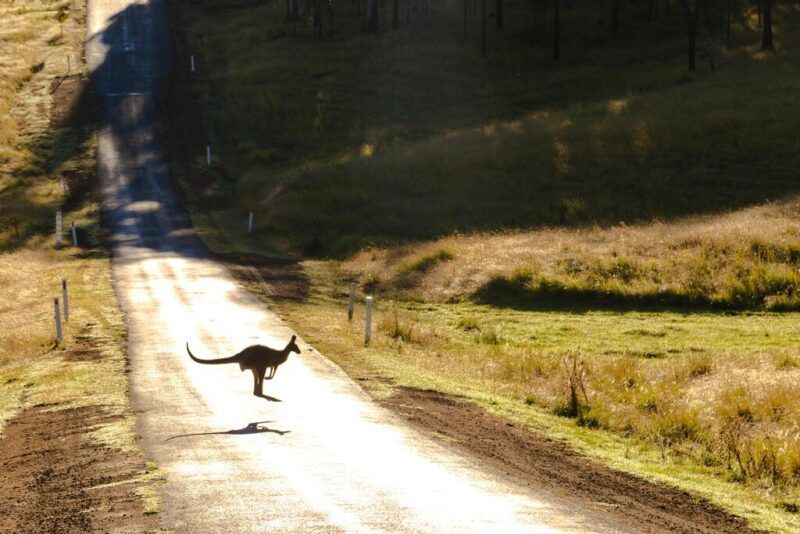 When is the best time to go to Australia? Plan your trip perfectly