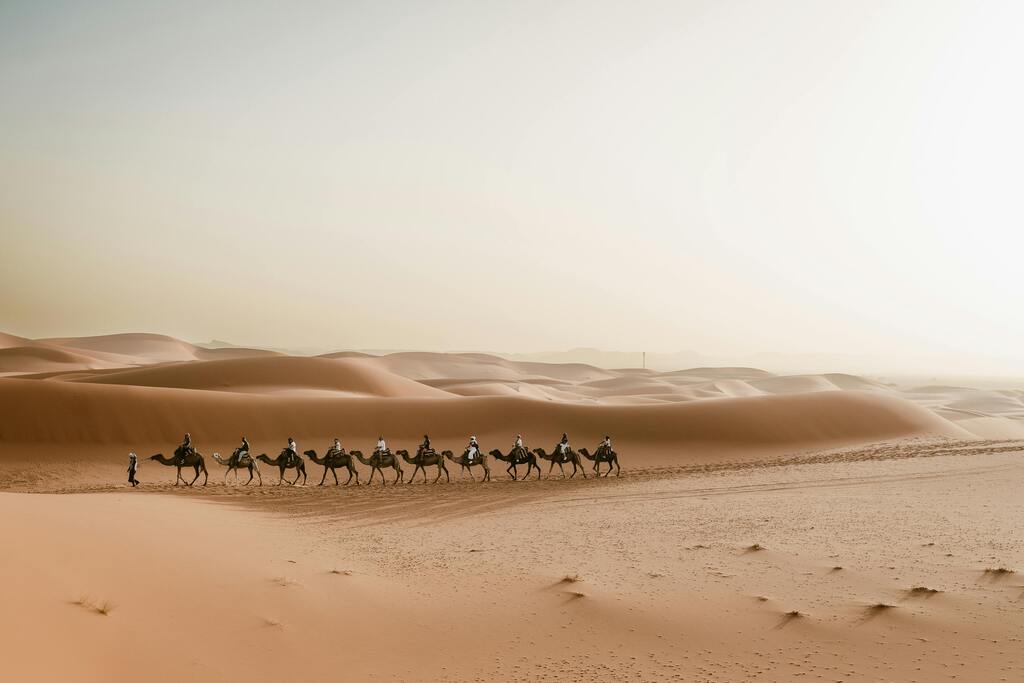  A group of camels led by a guide walking across the golden dunes under a vast sky.