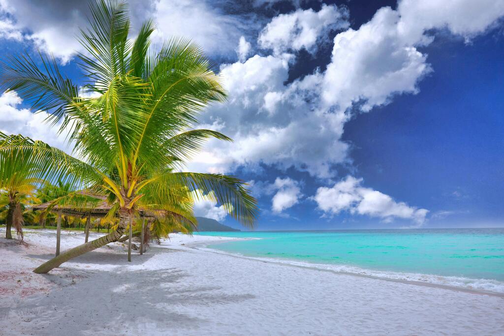 Tropical paradise beach with white sand, turquoise waters, and swaying palm trees under a blue sky.