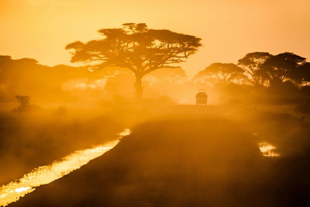 When is the Best Time to Visit South Africa? A Complete Guide