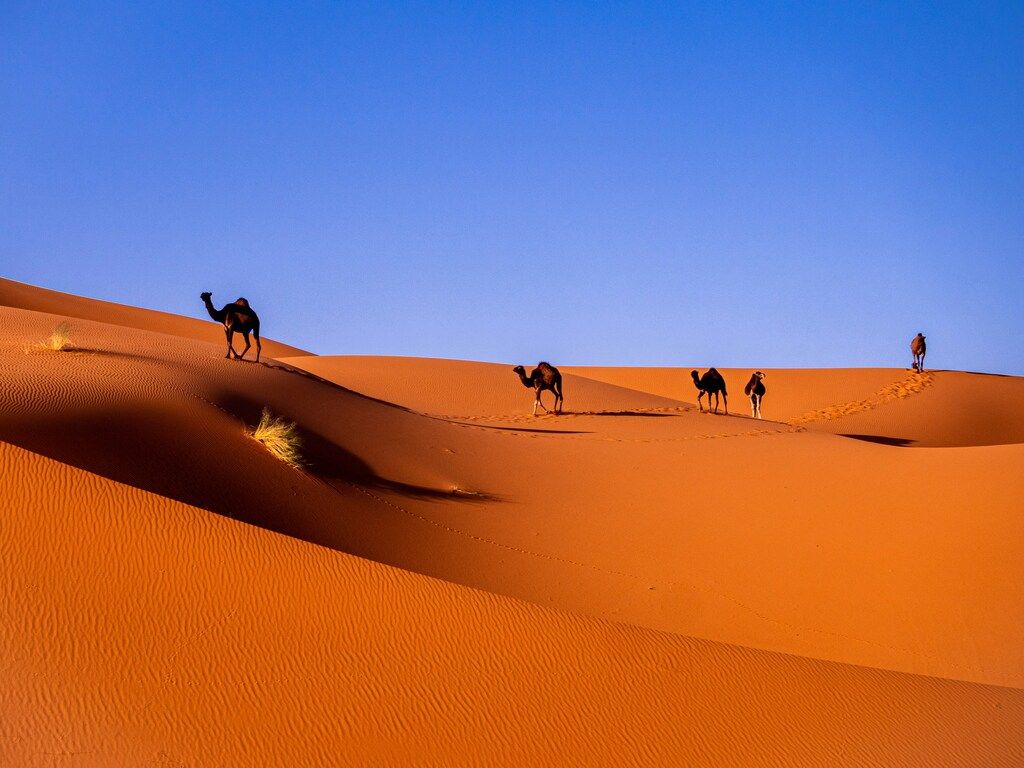 When Is The Best Time To Visit Morocco? Your Complete Seasonal Guide