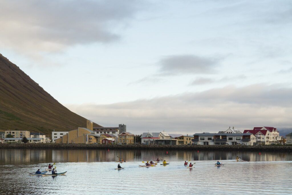 Group of kayakers paddling in the calm water of the fjord in Ísafjörður.
