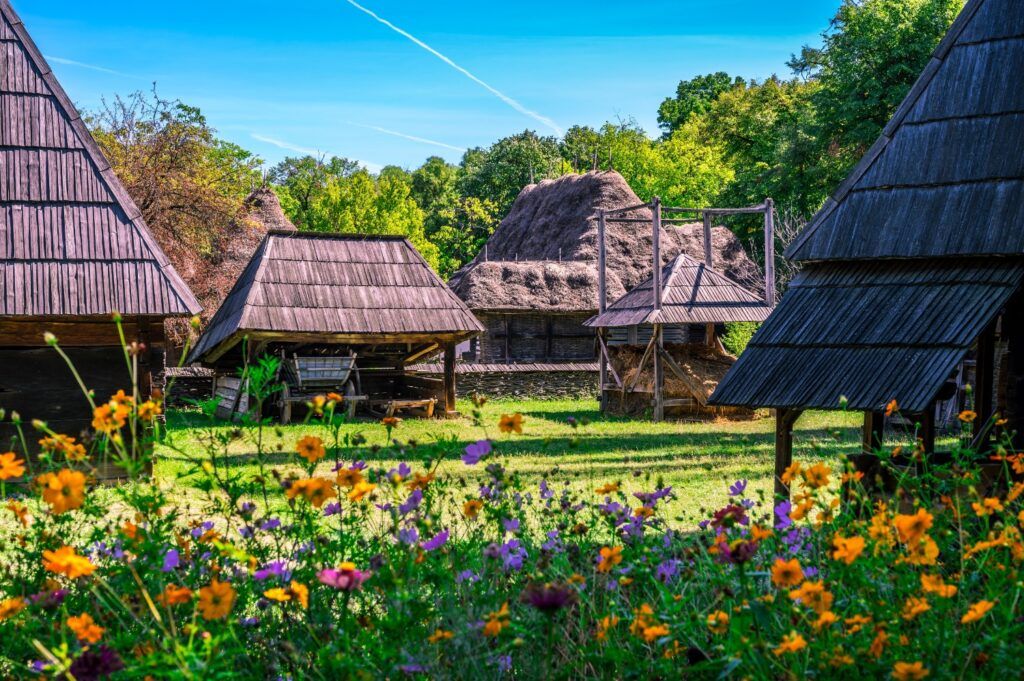 Historic Romanian wooden houses with thatched roofs in a green field.