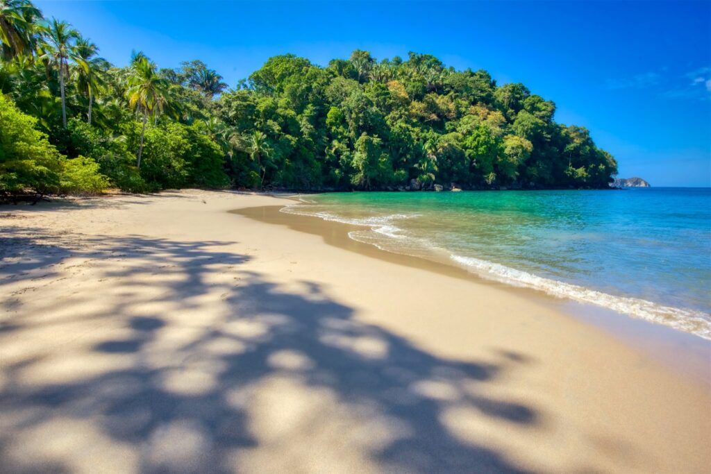 Pristine tropical beach with white sand, gentle waves, lush green jungle, and palm tree shadows.