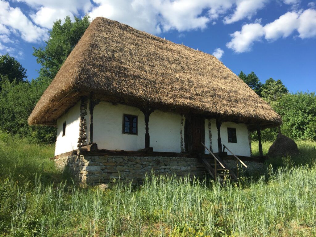 A traditional Romanian village house with white walls and a large, steep thatched roof, standing on a stone foundation in a green field.