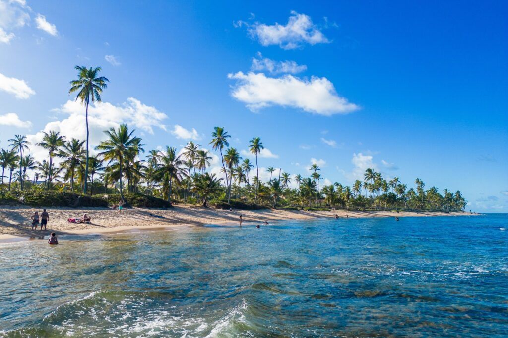 A beautiful tropical beach in Brazil with golden sand, tall palm trees, and clear blue water.